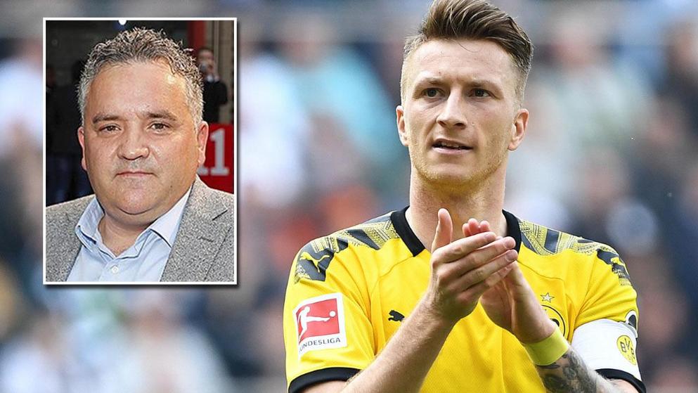 篮球中的女 篮球中的女