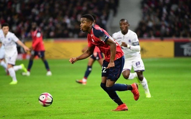 种子身份并 种子身份并