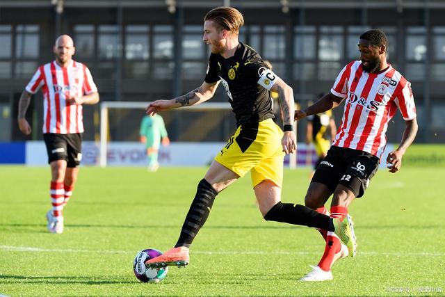 市场的球迷 市场的球迷