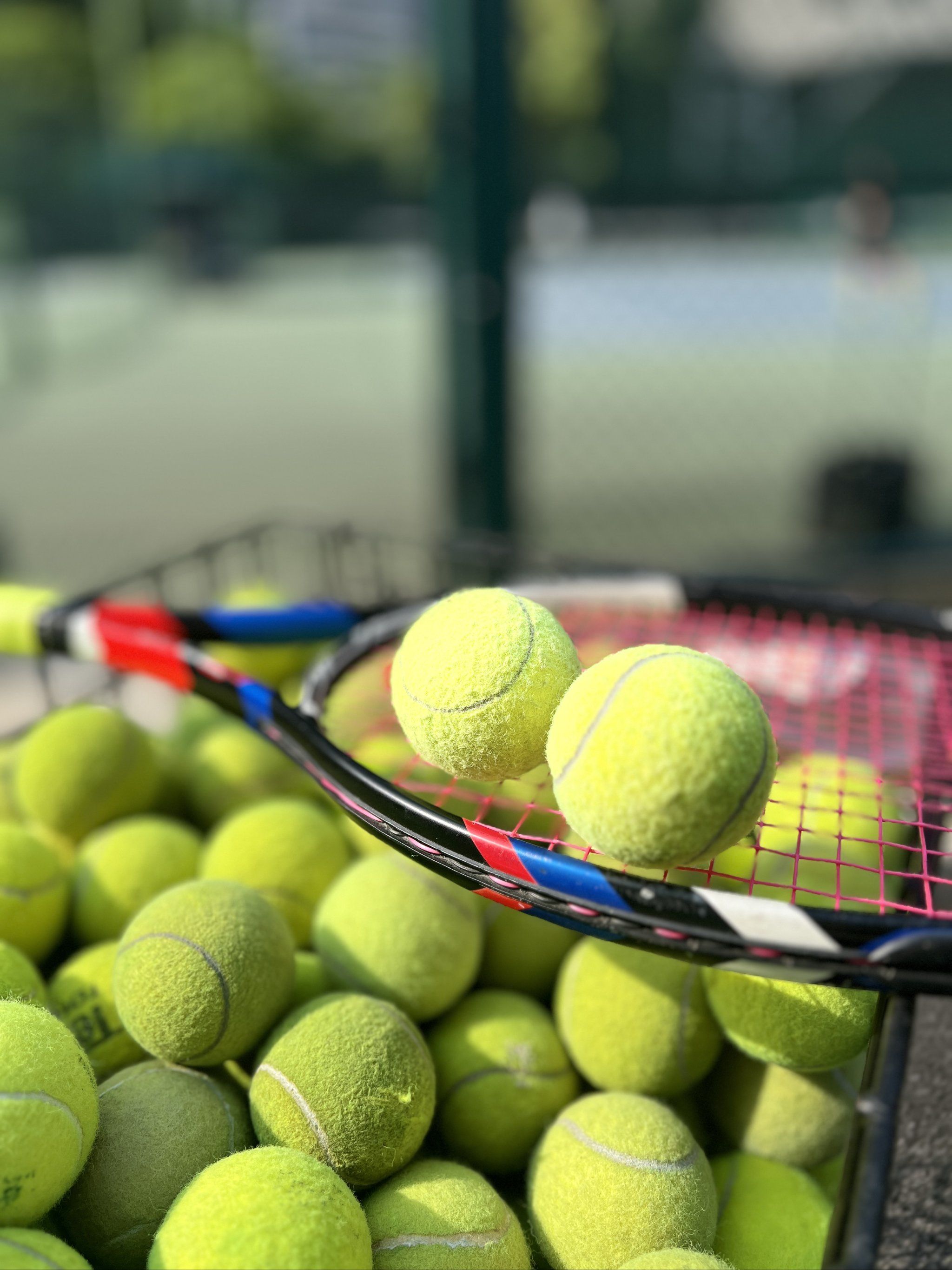 安踏与全球 安踏与全球